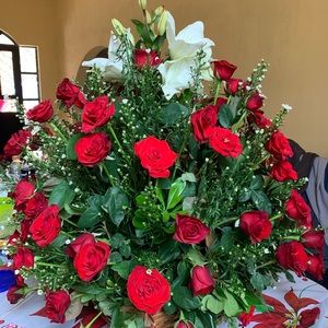 Meet your Posher, Maria